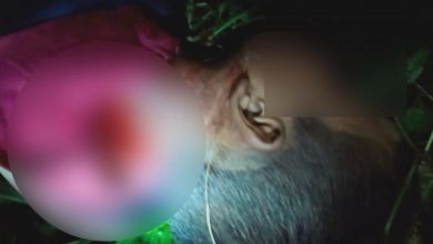 Photo of उत्तराखंड : आदमखोर बाघ ने एक और बच्चे को बनाया अपना शिकार, परिवार में मचा कोहराम