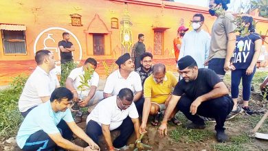 Photo of देवतुल्य वृक्ष समाज को देते हैं प्राणवायु : पदम सिंह