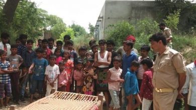 Photo of रेप के बाद दरिंदगी : 12 साल की बच्ची की 200 मीटर दूर बगीचे में जली मिली लाश, जांच में जुटी पुलिस और फॉरेंसिक टीम
