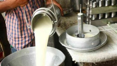 Photo of यूपी में दूध का कारोबार ग्रामीणों को मुहैया करा रहा रोजगार
