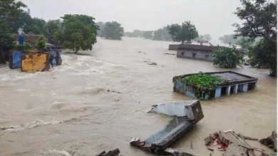 Photo of मौसम अलर्ट : बारिश के चलते यूपी में कई नदियां उफान पर, बांधों का भी बढ़ा जलस्तर
