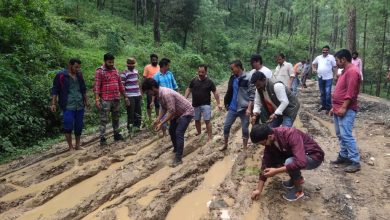 Photo of कीचड़ भरी रोड पर धान के पौधें रौंपते ग्रामीण