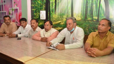 Photo of कुछ पार्टियां झूठे वादे कर लोगों को लुभाने का कर रही काम