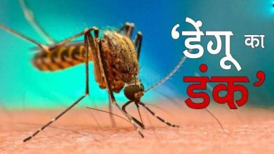 Photo of यूपी में डेंगू के 286 नए मरीज, 21 घरों में मिला लार्वा