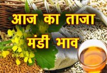 Photo of मंडी भाव : सरसों 9200 रुपये क्विंटल पर पहुंचा, सोयाबीन, बिनौला और सीपीओ में तेजी